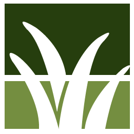 Salinas Lawn Clean Up