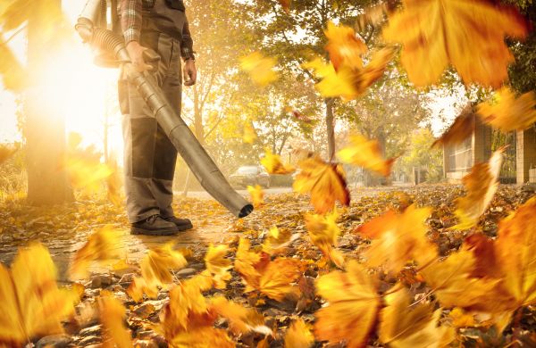 Cost of Leaf Blowing Service in Salinas