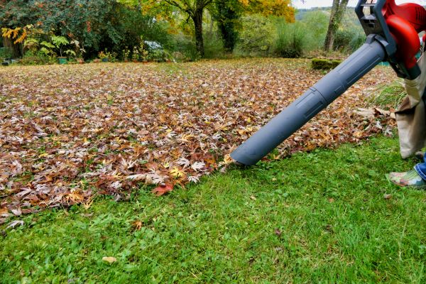 Cost of Leaf Vacuuming Service in Salinas