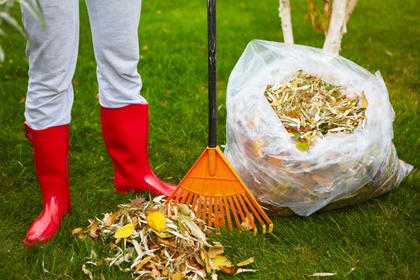 Cost of Leaf Disposal Service in Salinas