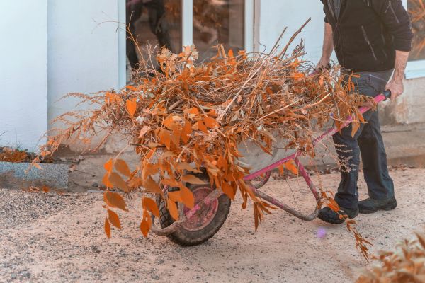Cost of Lawn Debris Cleanup in Salinas