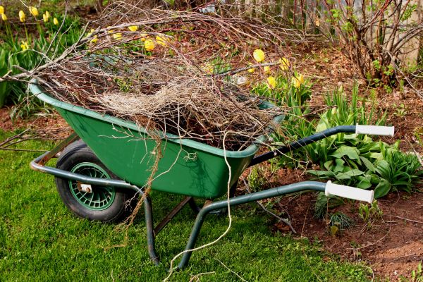 Cost of Lawn Waste Removal in Salinas