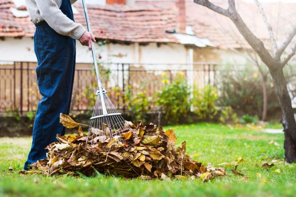 Cost of Fall Yard Cleanup Service in Salinas