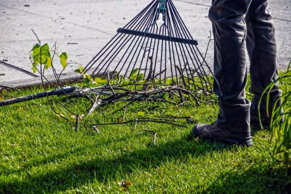 Cost of Yard Debris Cleanup in Salinas